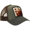 Panther Mesh Cap Animal Farm Trucker Baseball Cap Dad Hat Snapback WOLF Tiger Outdoor Beast Lion Toucan Net Hats Dropshipping